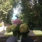 Vergopoulos Oliveyard בית הארחה