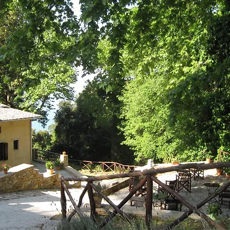 Гостевой дом Vergopoulos Oliveyard 5*