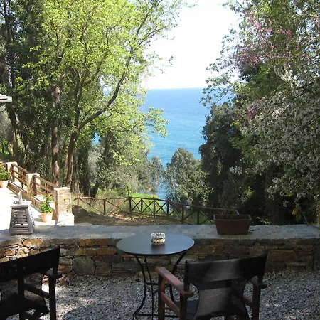 Гостевой дом Vergopoulos Oliveyard 5*