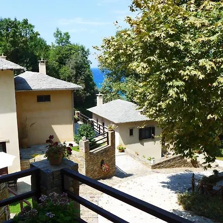 Vergopoulos Oliveyard