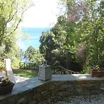 Vergopoulos Oliveyard