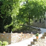 Vergopoulos Oliveyard Mourésion