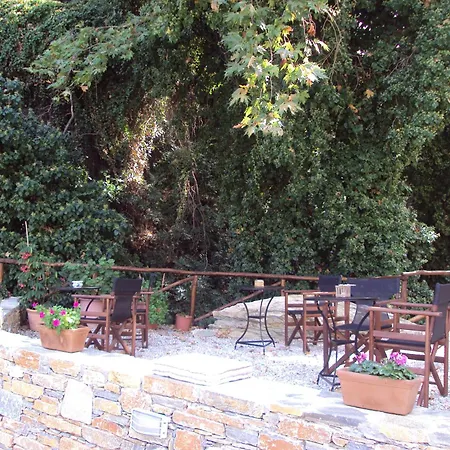 Vergopoulos Oliveyard Pensiune