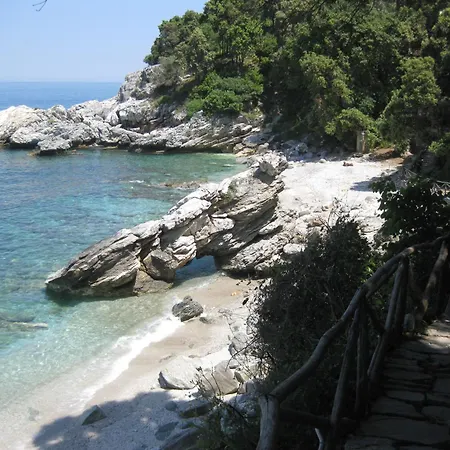 Vergopoulos Oliveyard Pensiune Mourésion