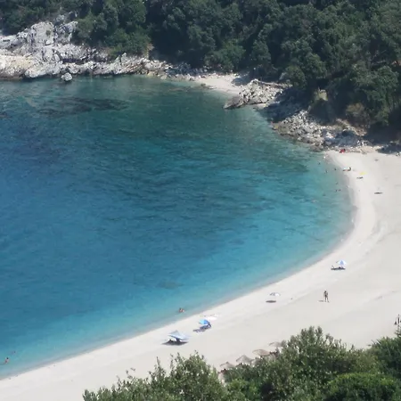 Vergopoulos Oliveyard