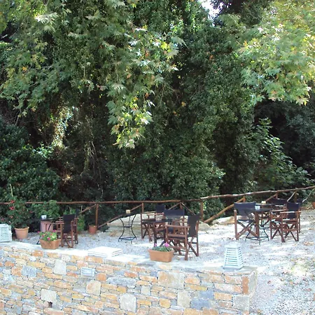 Vergopoulos Oliveyard 3* Mourésion