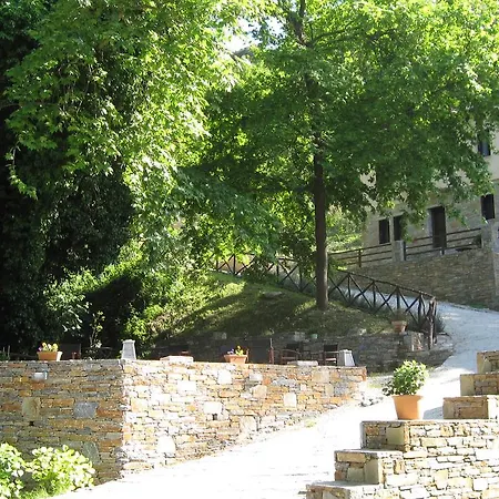 Vergopoulos Oliveyard Mourésion