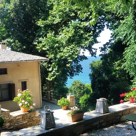 Pensiune Vergopoulos Oliveyard 3*