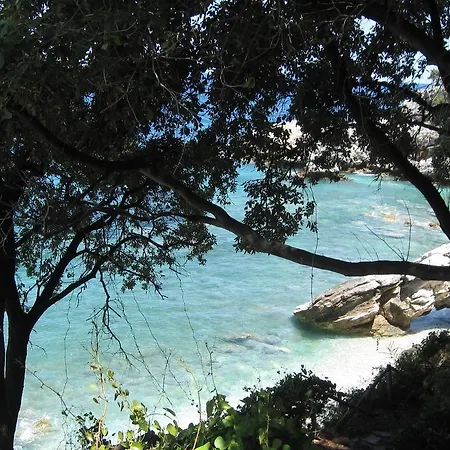 Pensiune Vergopoulos Oliveyard 3*