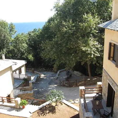 Vergopoulos Oliveyard