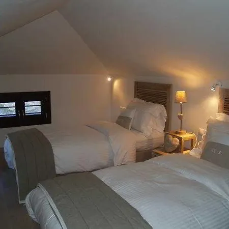 Pensiune Vergopoulos Oliveyard Mourésion