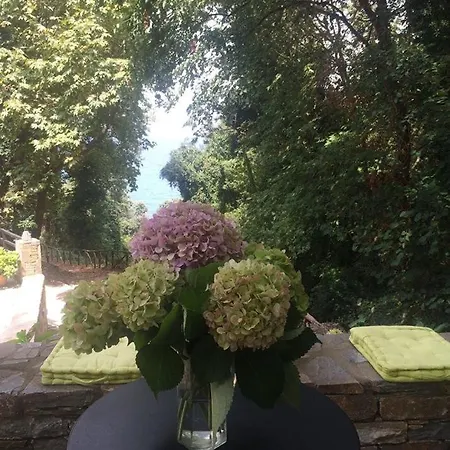 Vergopoulos Oliveyard Pensiune