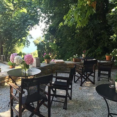 Vergopoulos Oliveyard Pensiune