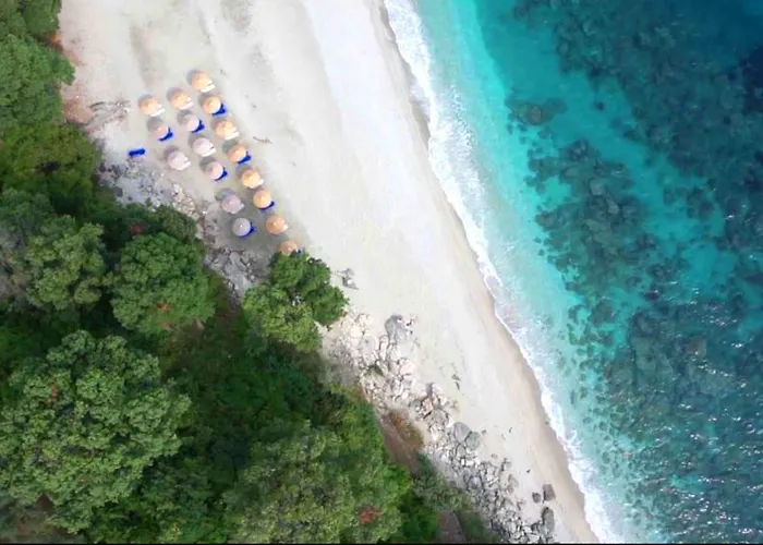 Vergopoulos Oliveyard Mouresi