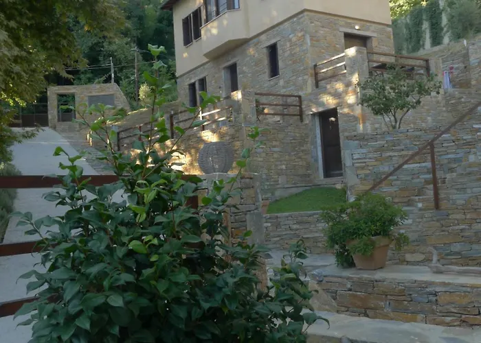 Vergopoulos Oliveyard Mouresi