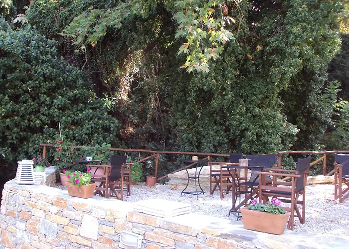 Vergopoulos Oliveyard Guest house