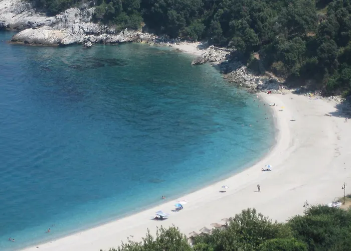 Vergopoulos Oliveyard