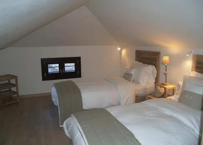 Vergopoulos Oliveyard