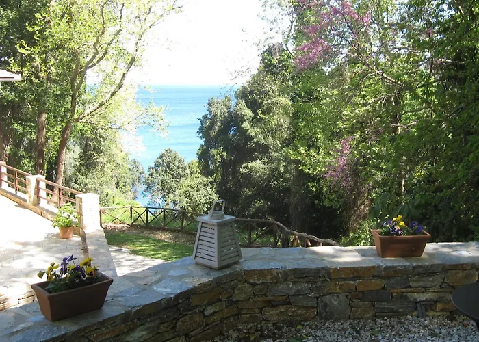 Vergopoulos Oliveyard