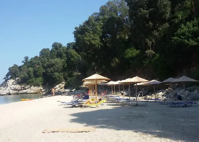 Guest house Vergopoulos Oliveyard