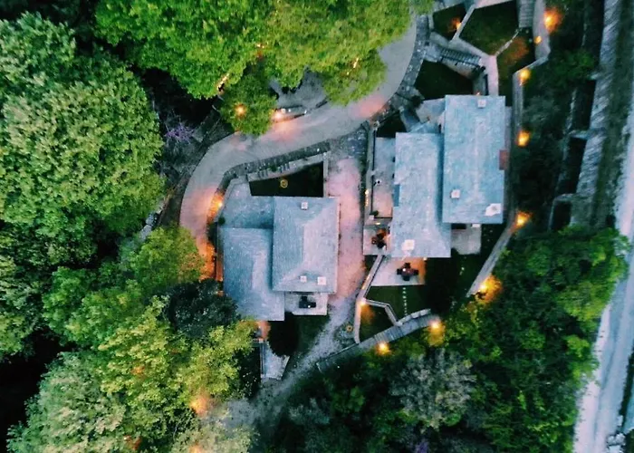 Vergopoulos Oliveyard