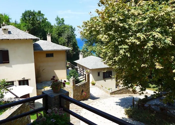 Vergopoulos Oliveyard